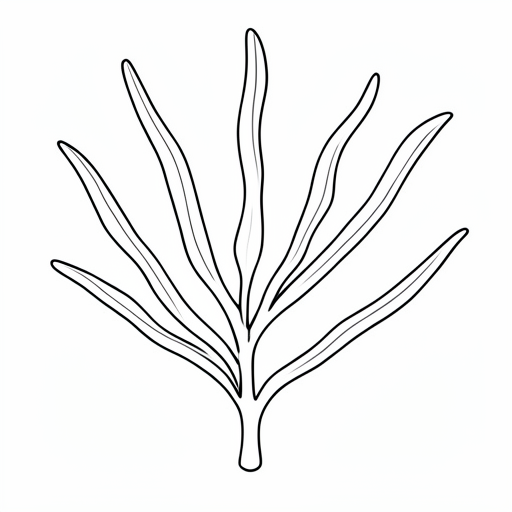 Printable outline of Algae