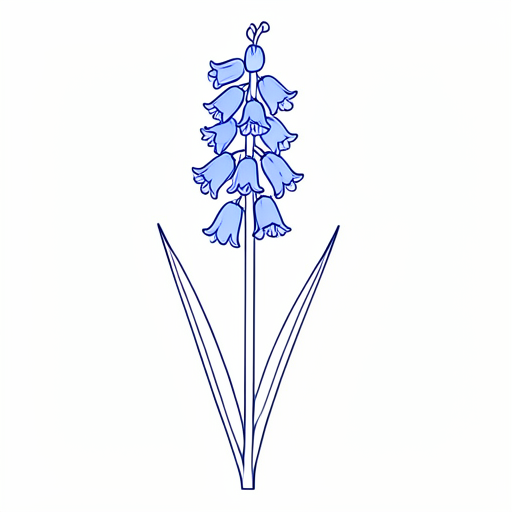Printable outline of Bluebell