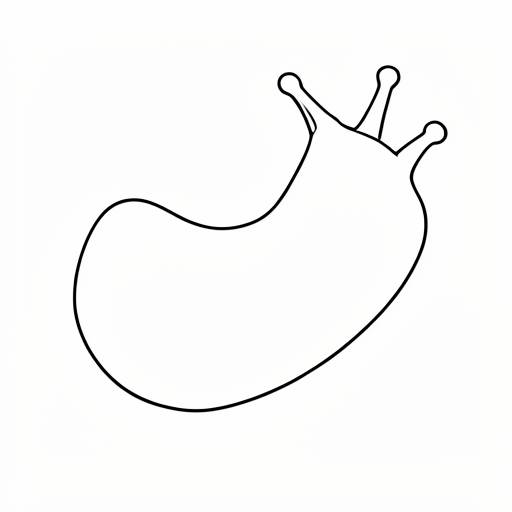 Printable outline of Sea Slug