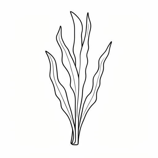 Printable outline of Seaweed